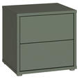 NACHTSCHRANK 50/48/42 cm  - Salbeigrün/Silberfarben, Trend, Holzwerkstoff/Kunststoff (50/48/42cm) - Carryhome