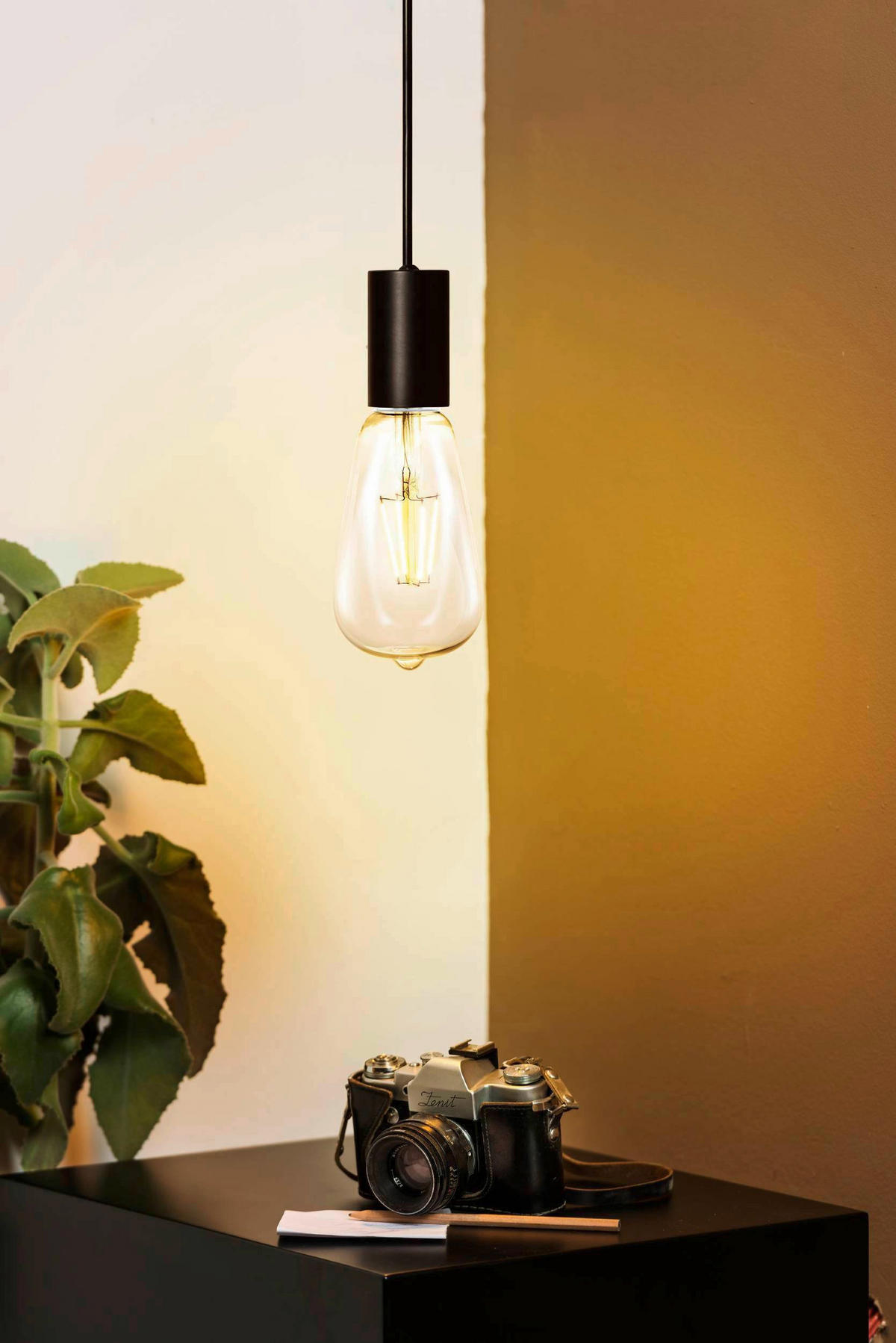 LED ŽÁROVKA E27 - jantarové barvy, Basics, sklo (14cm) - Eglo