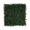 WANDVERKLEIDUNG  - Jadegrün, Trend, Kunststoff (50/50cm) - Floordirekt