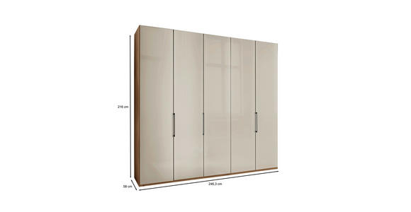 FALTTÜRENSCHRANK 250/216/58 cm 5-türig  - Schieferfarben/Eiche Bianco, KONVENTIONELL, Glas/Holzwerkstoff (250/216/58cm) - Dieter Knoll