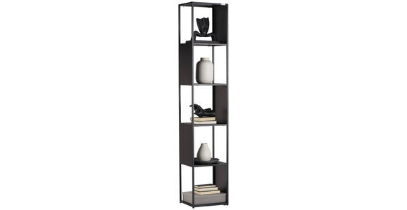 REGAL Schwarz - Schwarz, Trend, Kunststoff/Metall (37/188/30cm) - Carryhome
