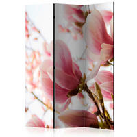 SKÄRMVÄGG  i trä, textil  vit, pink  - vit/pink, Basics, trä/textil (135/172/3cm) - artgeist