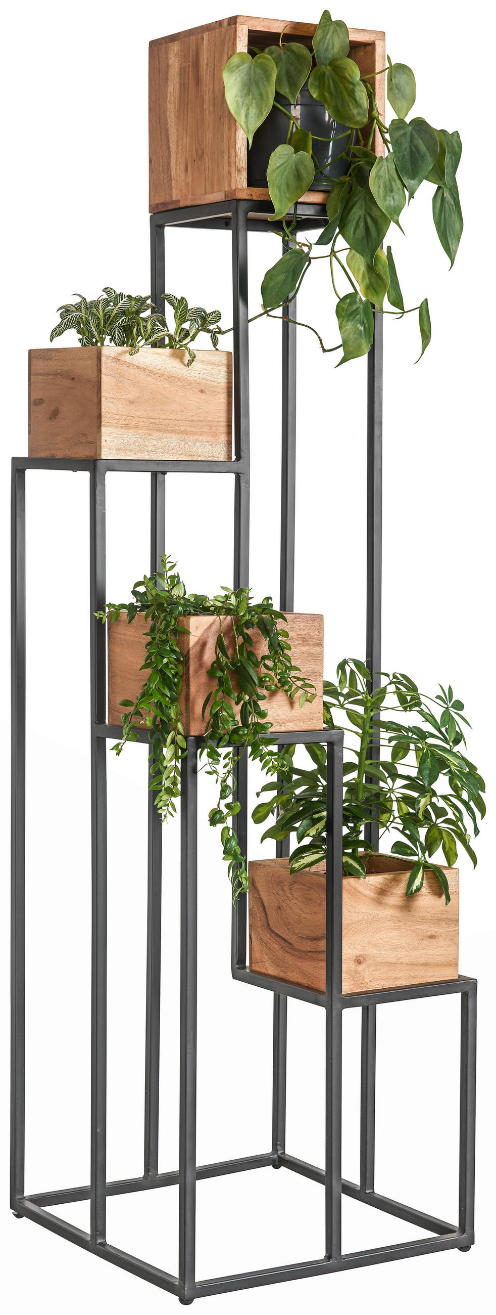 STALAK ZA CVIJEĆE crna, boje bagrema  drvo, metal  - boje bagrema/crna, Trend, drvo/metal (42,5/42,5/150cm) - Landscape