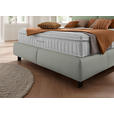 BOXSPRINGBETT 180/200 cm  in Hellgrau, Mintgrün  - Hellgrau/Schwarz, Design, Textil/Metall (180/200cm) - Johann Jakob