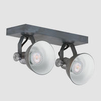 DECKENSPOTS - Grau, Trend, Metall (13/16/32cm)
