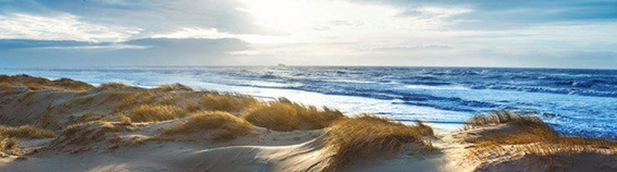 ACRYLGLASBILD Landschaft & Natur  - Multicolor, Natur, Kunststoff (50/180/1,70cm) - Euroart