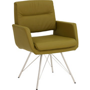 NASLANJAČ, kovina, usnje nerjaveče jeklo, zelena - zelena/nerjaveče jeklo, Design, kovina/usnje (65/88/64cm) - Moderano