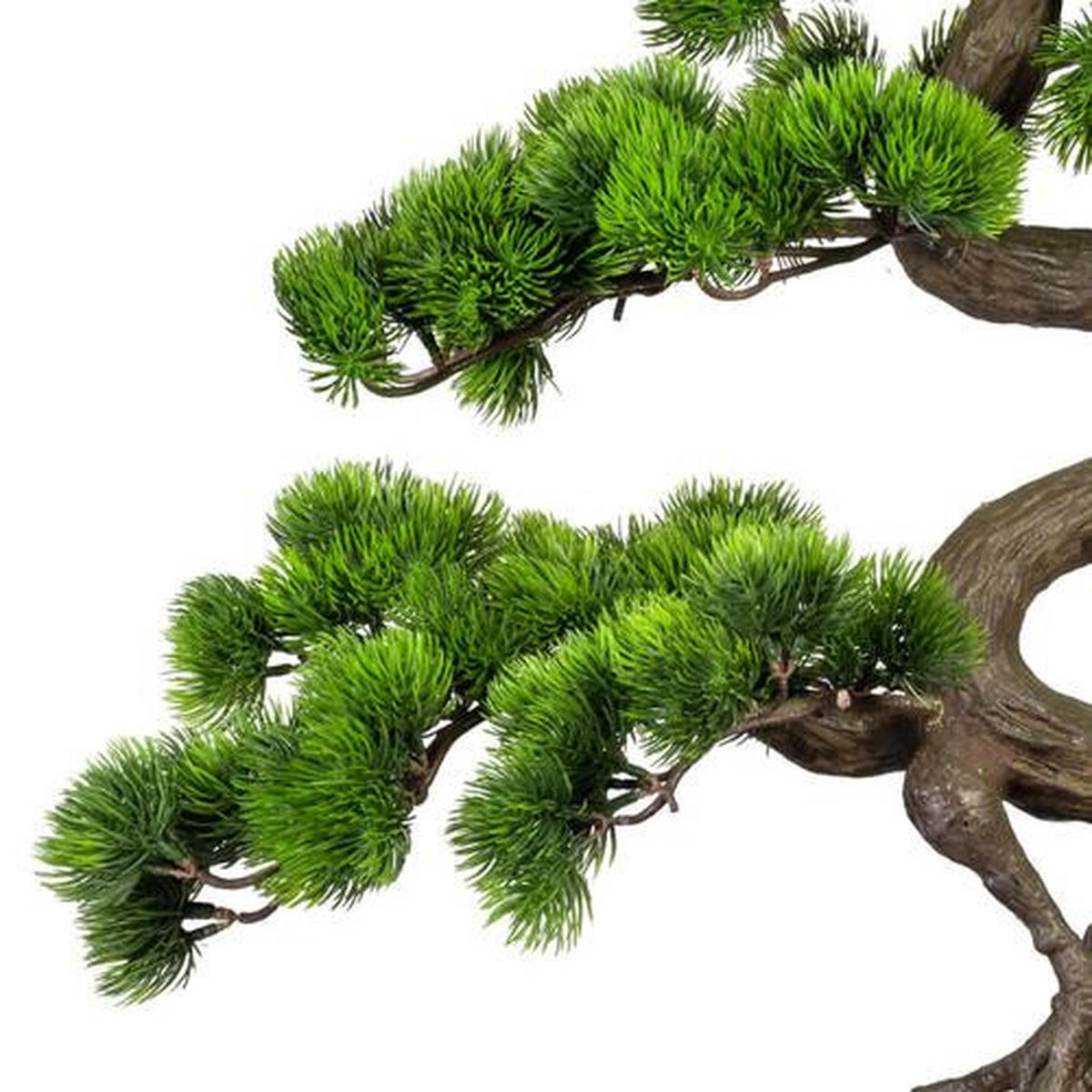 BONSAI Bonsai  - Schwarz/Braun, Basics, Kunststoff (50/65cm) - P & B