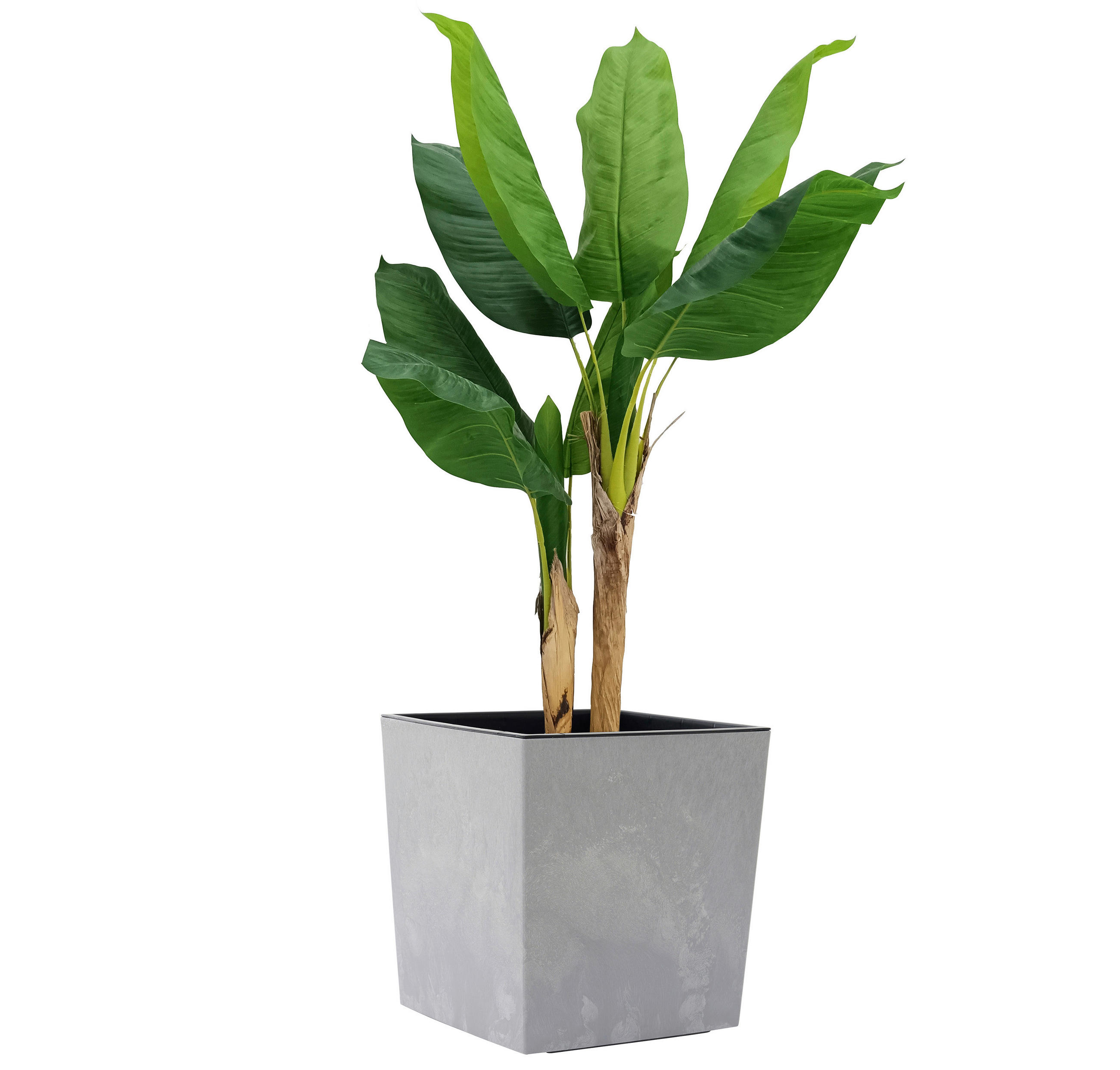 PFLANZENTOPF  - Grau, Basics, Kunststoff (40/41/40cm) - Siena Garden