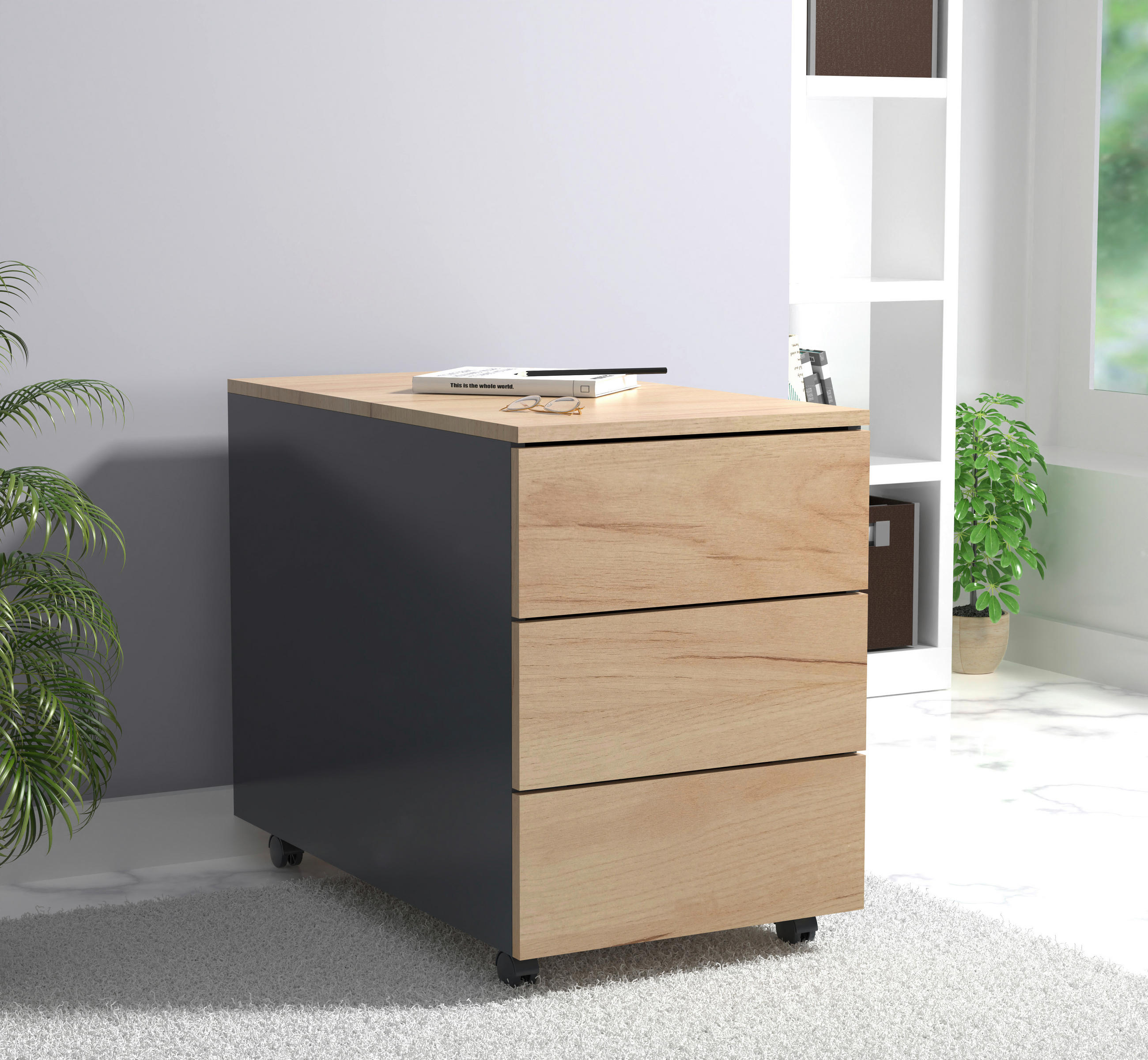 ROLLCONTAINER Anthrazit, Honigeiche  - Honigeiche/Anthrazit, MODERN, Holzwerkstoff/Kunststoff (39/55/70cm) - MID.YOU