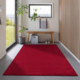 HOCHFLORTEPPICH 60/100 cm ATA 7000 Rot  - Rot, Design, Textil (60/100cm) - Novel