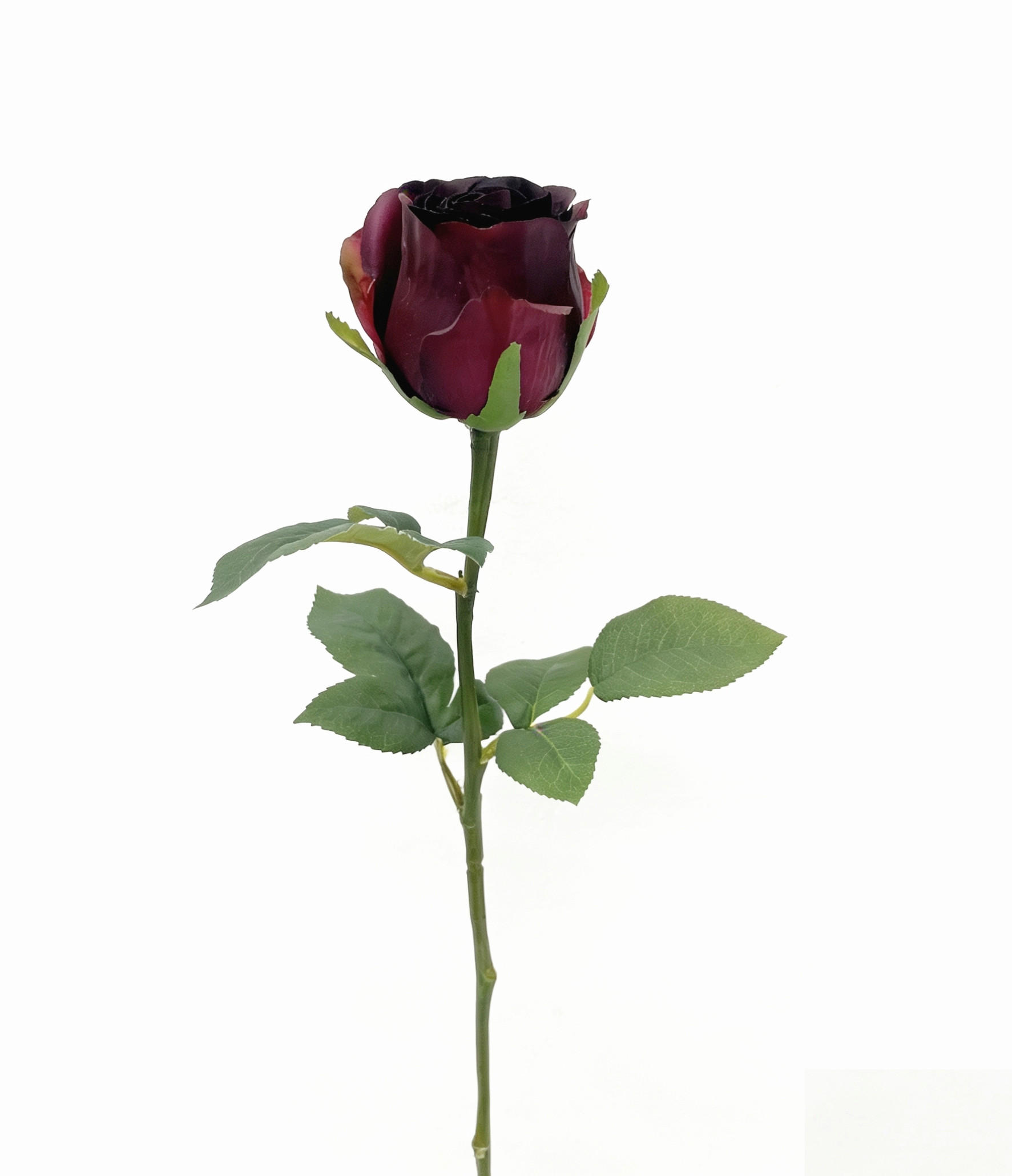 ROSE Rose  - Violett, LIFESTYLE, Kunststoff (51cm)