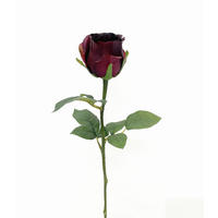 ROSE Rose  - Violett, LIFESTYLE, Kunststoff (51cm)