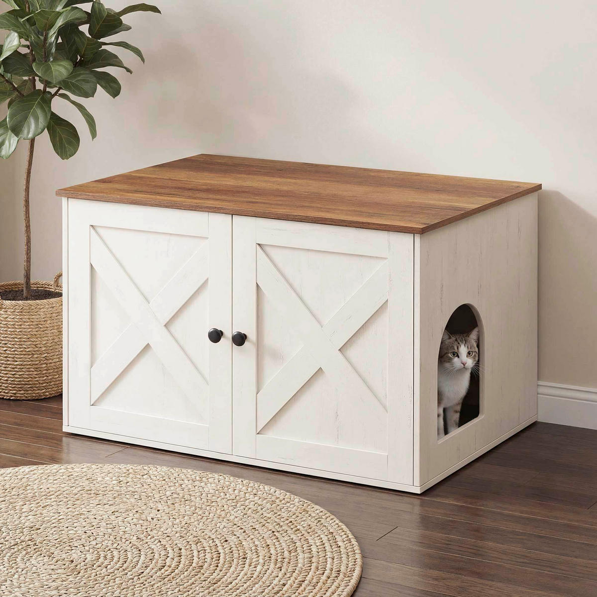 KATZENTOILETTE - Braun/Weiß, Trend, Holzwerkstoff (80/50/53cm) - Boxxx