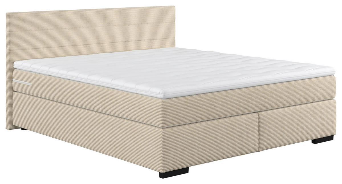 BOXBETT 160/200 cm  in Creme  - Creme/Schwarz, KONVENTIONELL, Holz/Holzwerkstoff (160/200cm) - MID.YOU