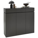 SCHUHSCHRANK  in 135/121/40 cm  - Schwarz/Graphitfarben, Design, Holzwerkstoff/Kunststoff (135/121/40cm) - Voleo