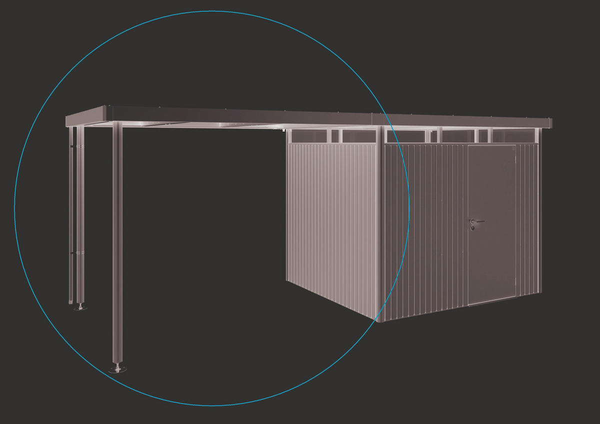 SEITENDACH 282/222/235 cm  - Silberfarben, Basics, Metall (282/222/235cm) - Biohort
