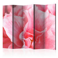 PARAVENT mit 5  Flügel - Pink/Weiß, Basics, Holz/Textil (225/172/3cm) - artgeist