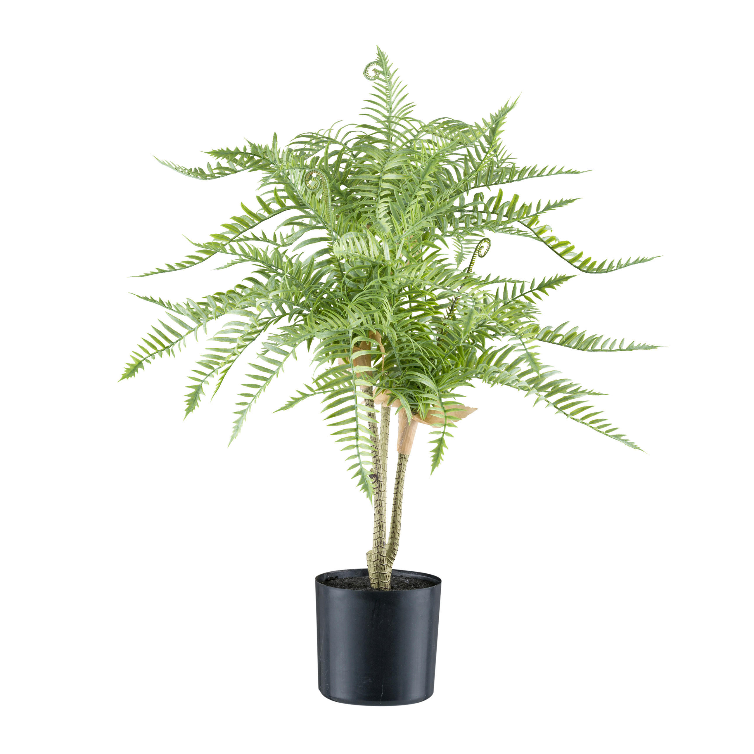 KUNSTPFLANZE Farn 60 cm  - Schwarz/Braun, Design, Kunststoff (60cm) - P & B