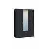 DREHTÜRENSCHRANK in Grau  - Silberfarben/Grau, Design, Glas/Holzwerkstoff (136/197/54cm) - Boxxx