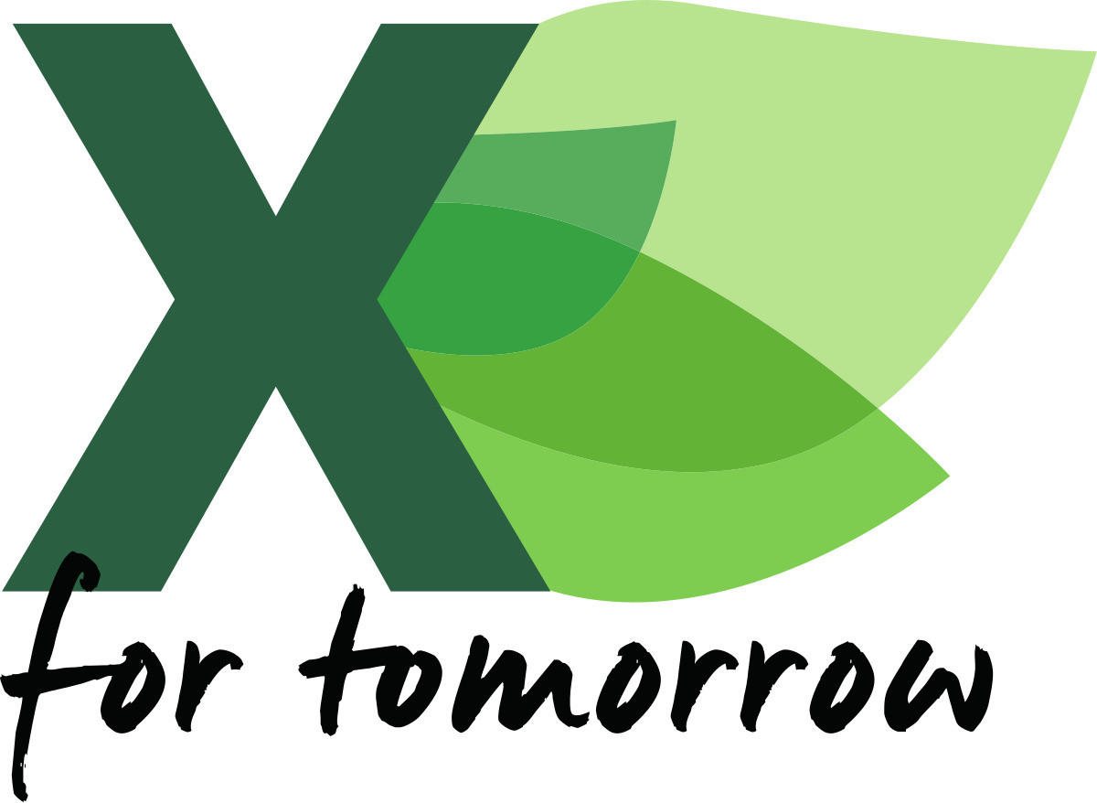 COVOR CU ȚESĂTURĂ PLATĂ Wilma  - alb/gri, Lifestyle, textil (160/230cm) - Novel