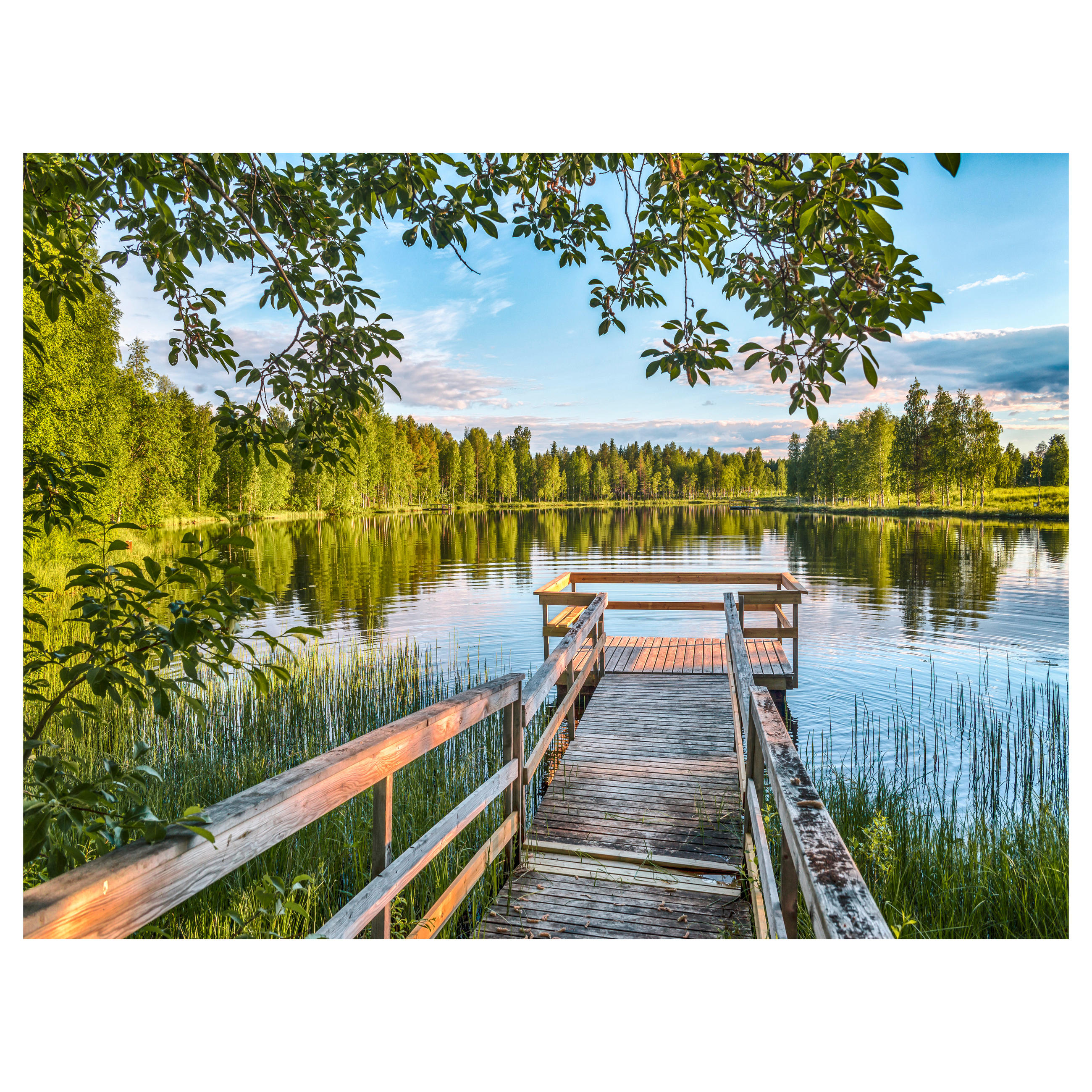GLASBILD Landschaft & Natur 120/80 cm  - Multicolor, Basics, Glas (120/80cm) - Monee
