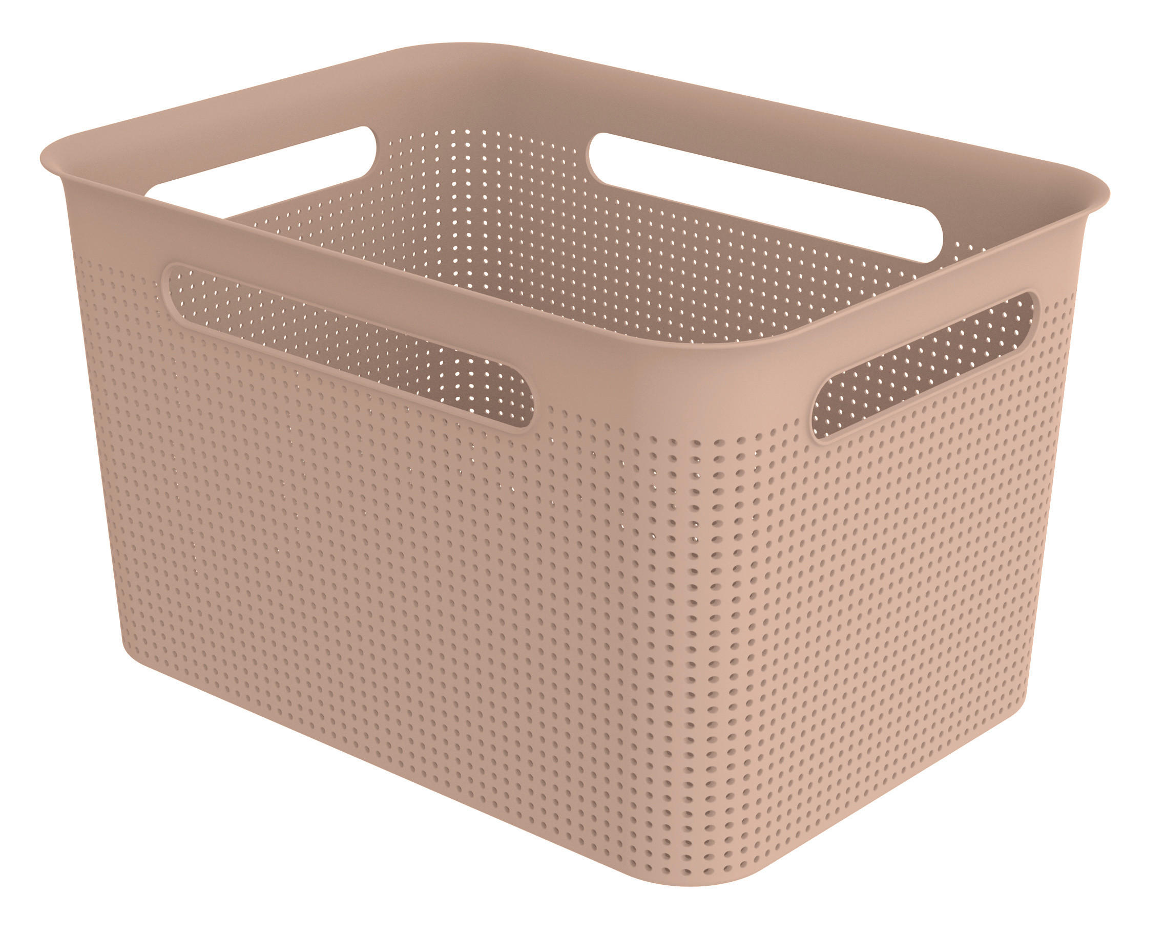 BOX - KONVENTIONELL, Kunststoff (36/26,2/21,1cm) - Rotho