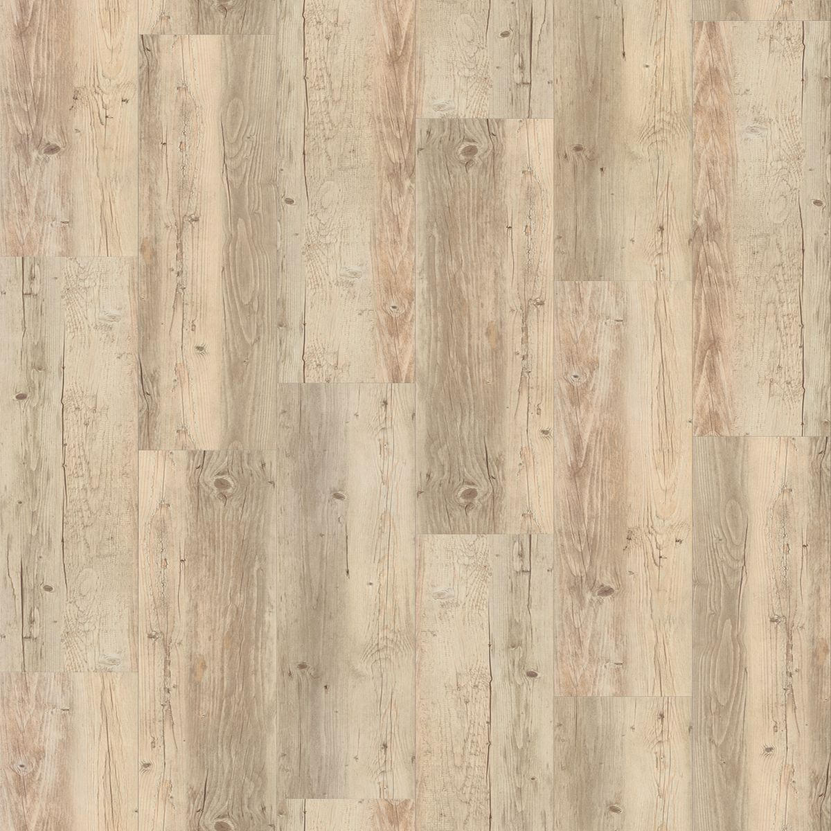 Designboden Pine weiß Basic 30 1730633 per m²
