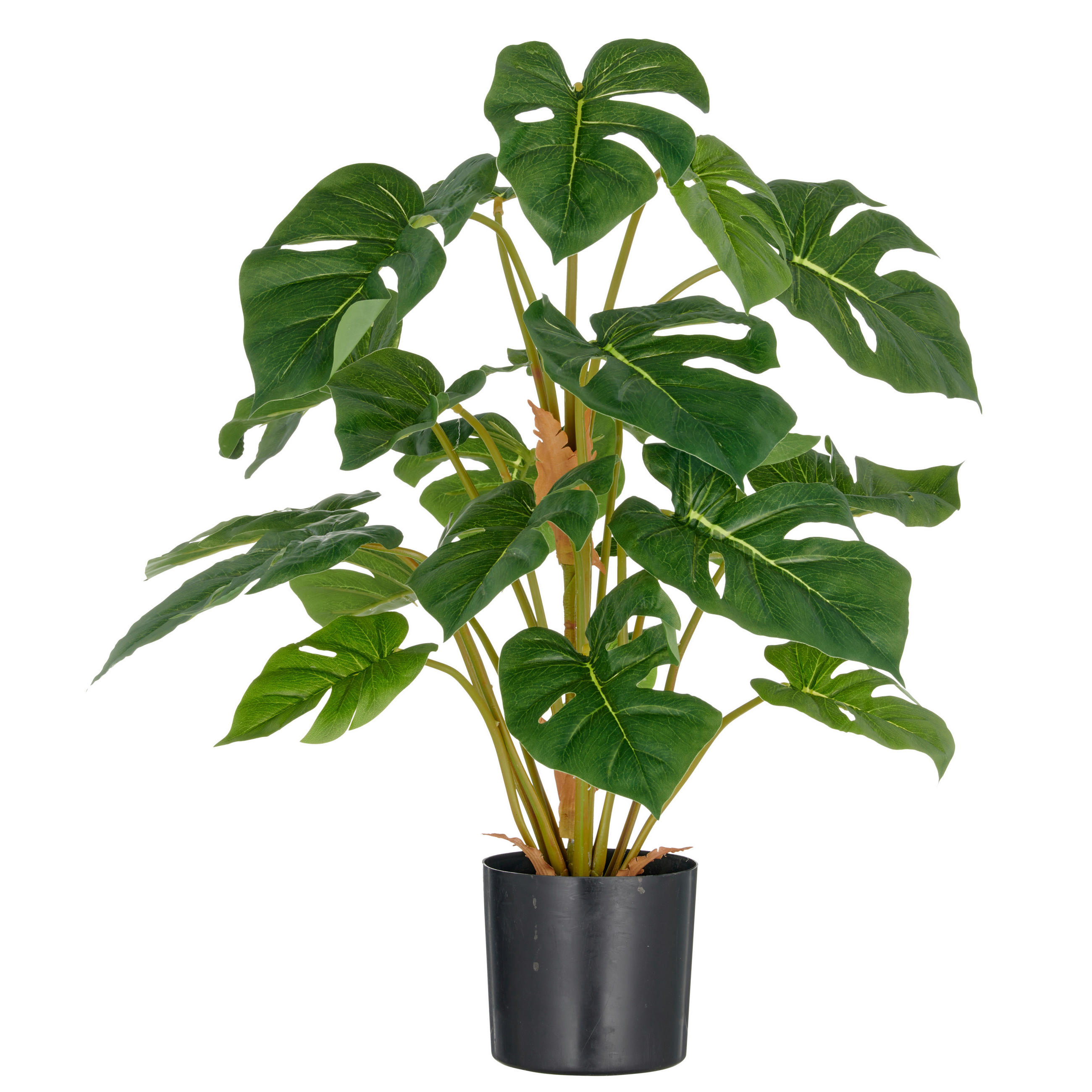 KUNSTPFLANZE Split Philodendron 65 cm  - Schwarz/Braun, Basics, Kunststoff (65cm) - P & B