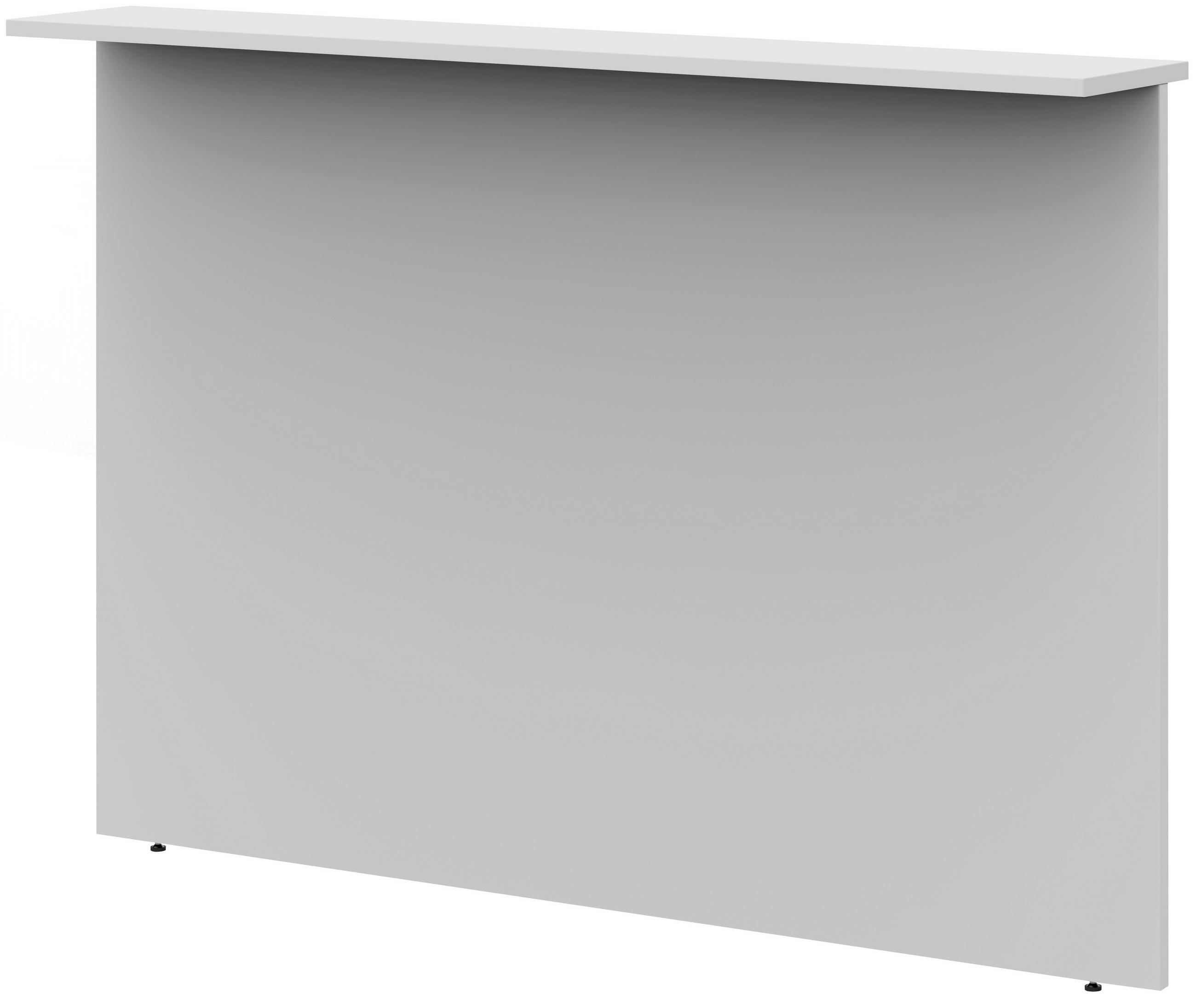 SICHTBLENDE  in Hellgrau  - Hellgrau, Design, Holzwerkstoff (160/112,9/25cm)