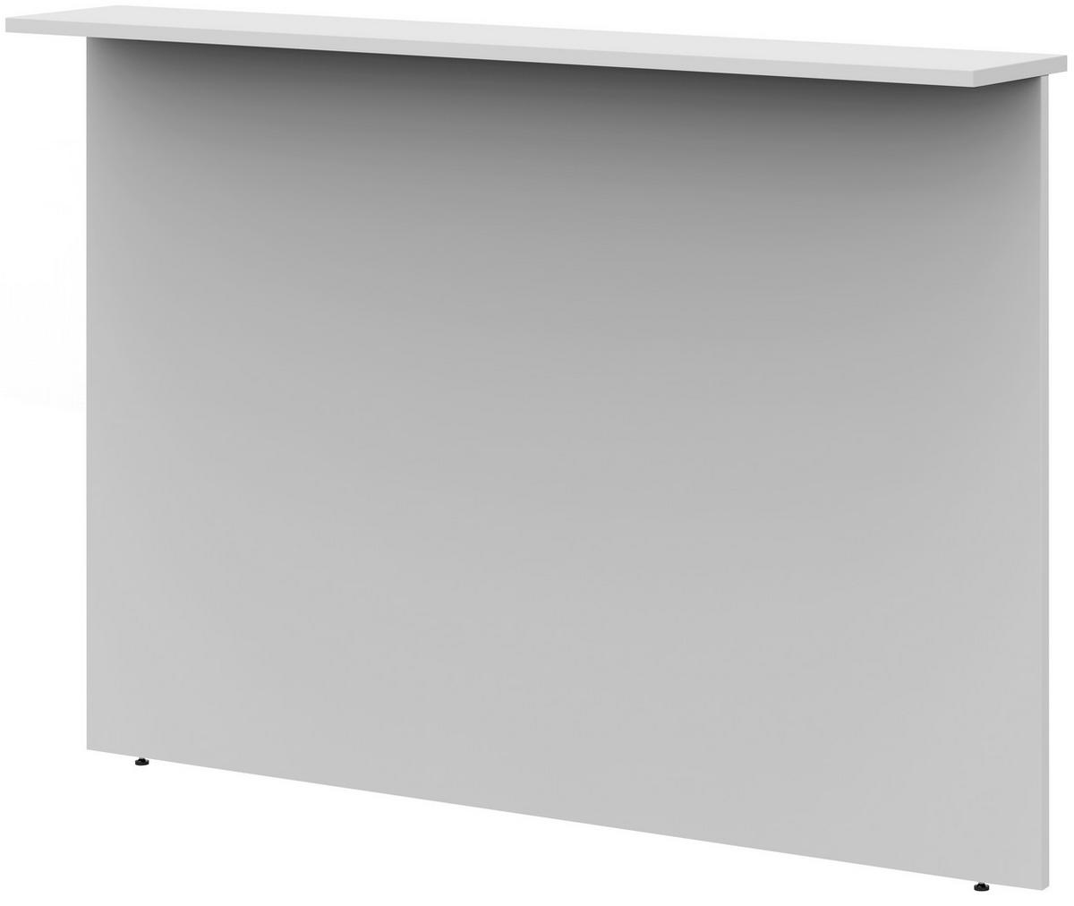 SICHTBLENDE  in Hellgrau  - Hellgrau, Design, Holzwerkstoff (160/112,9/25cm)