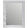 WANDSPIEGEL 55/70/2 cm    in rechteckig  - Silberfarben, LIFESTYLE, Glas/Holzwerkstoff (55/70/2cm) - Carryhome