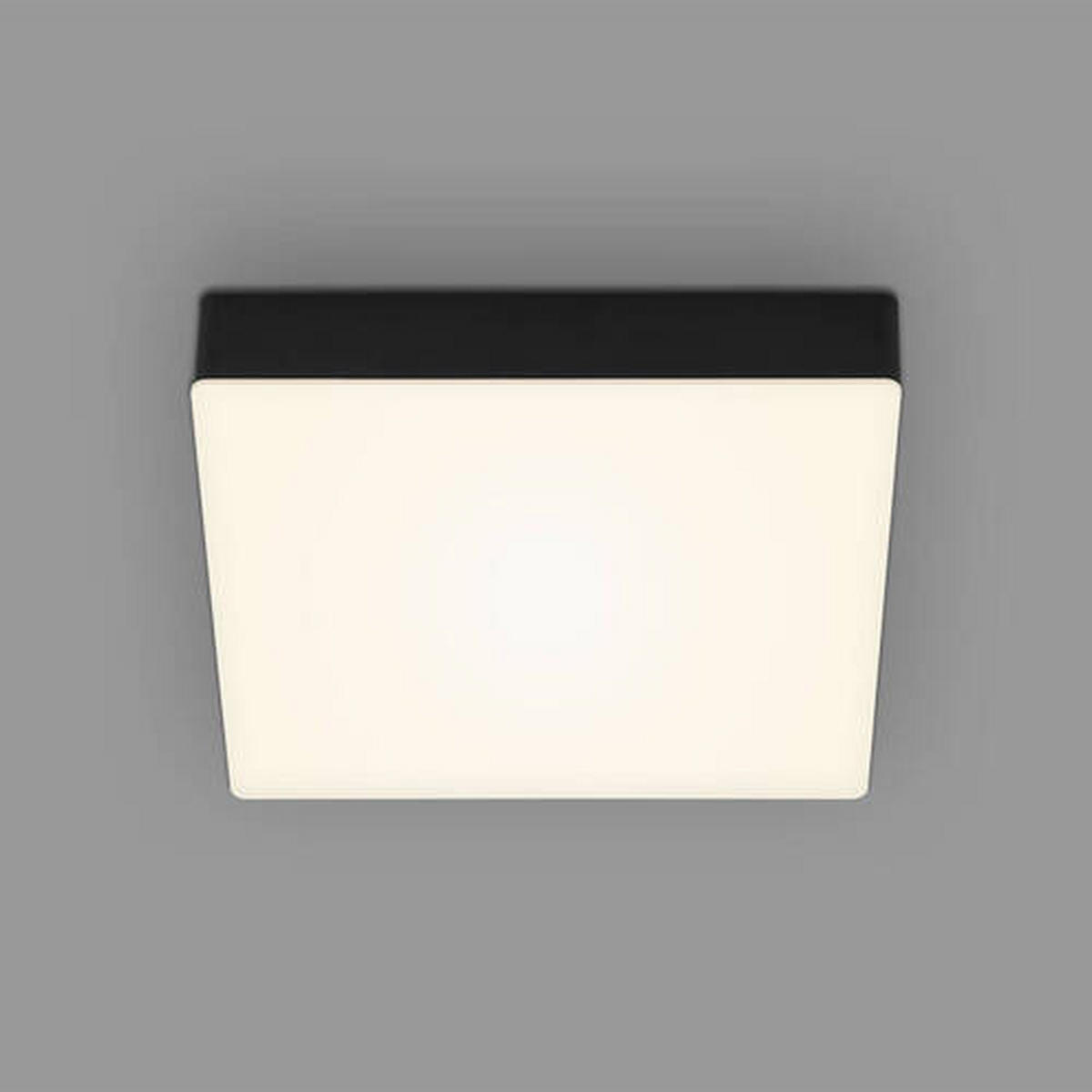 STROPNÍ LED SVÍTIDLO, 21,2/21,2/3,6 cm - černá, Basics, plast (21,2/21,2/3,6cm)