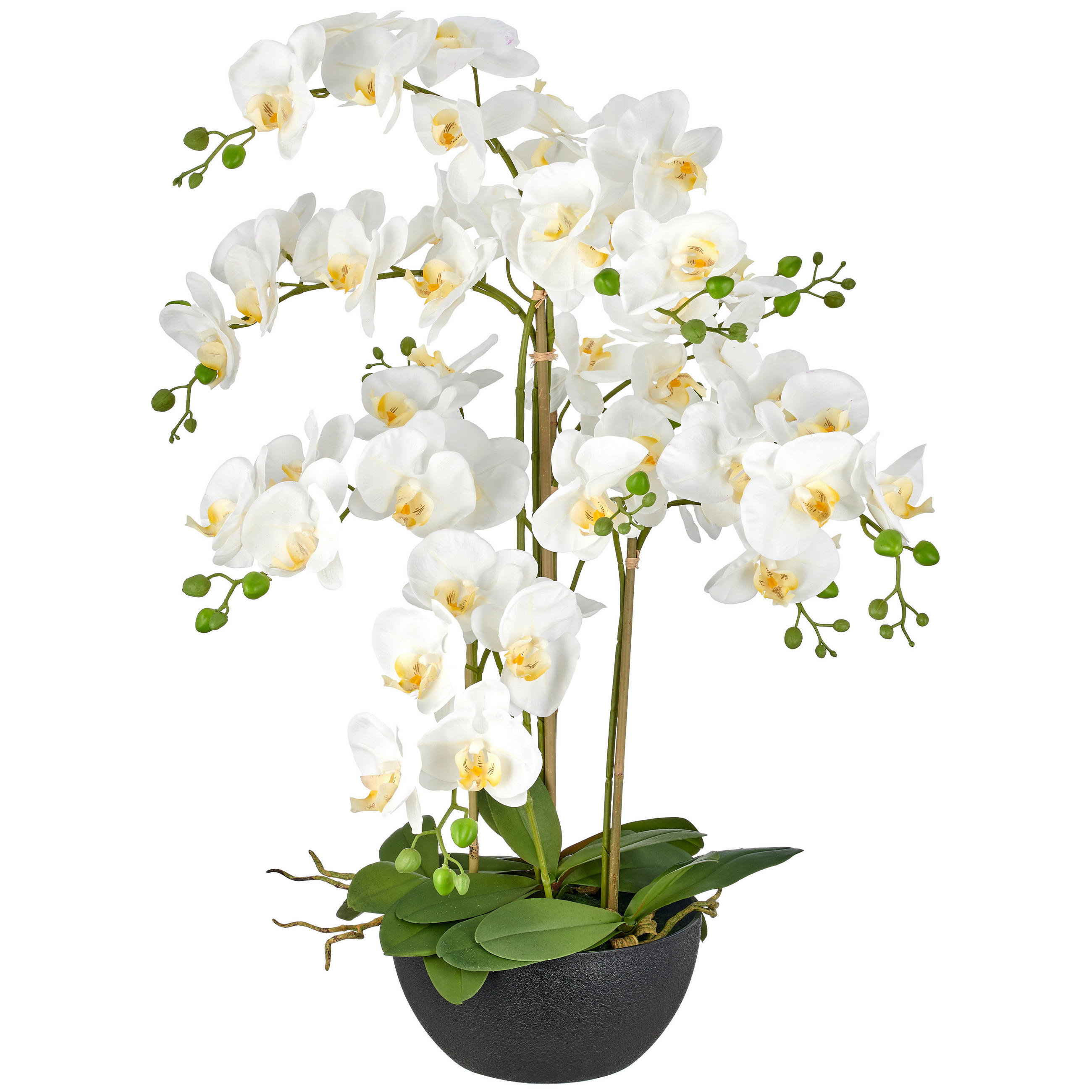 KUNSTBLUME Orchidee  - Schwarz/Weiß, Basics, Kunststoff (80cm)