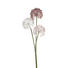 KUNSTBLUME - Altrosa/Weiß, Basics, Kunststoff (88cm) - Leonardo KUNSTBLUME - Altrosa/Weiß, Basics, Kunststoff (88cm) - Leonardo