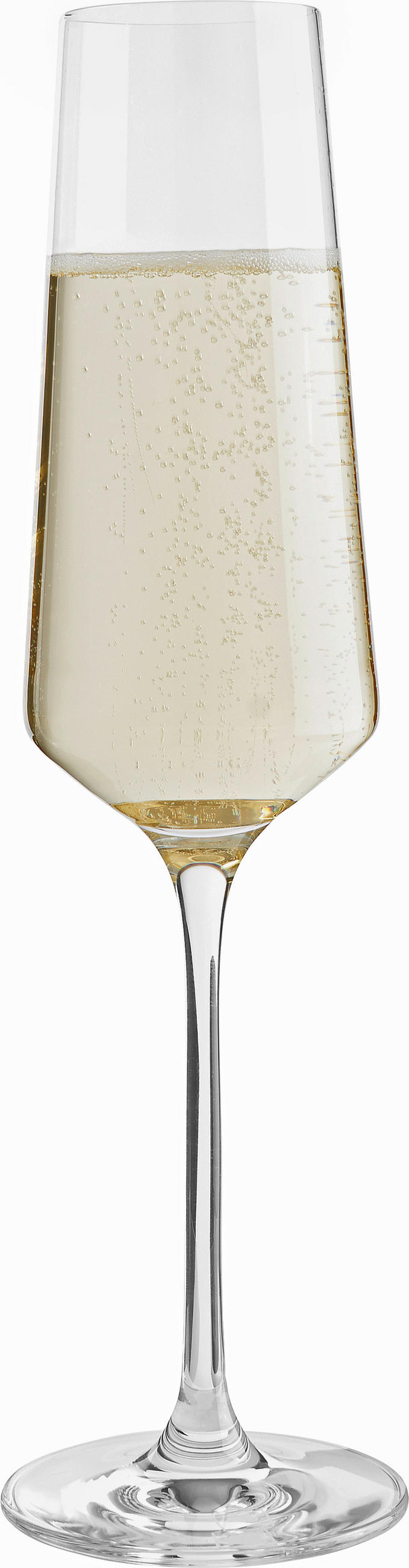 SEKTGLAS   - Transparent, Basics, Glas (280ml) - Leonardo