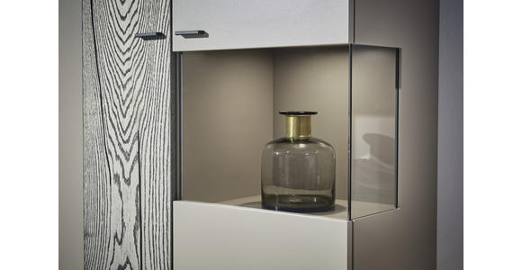 WOHNWAND in Grau, Eichefarben, Fango - Edelstahlfarben/Fango, Design, Glas/Holz - Dieter Knoll