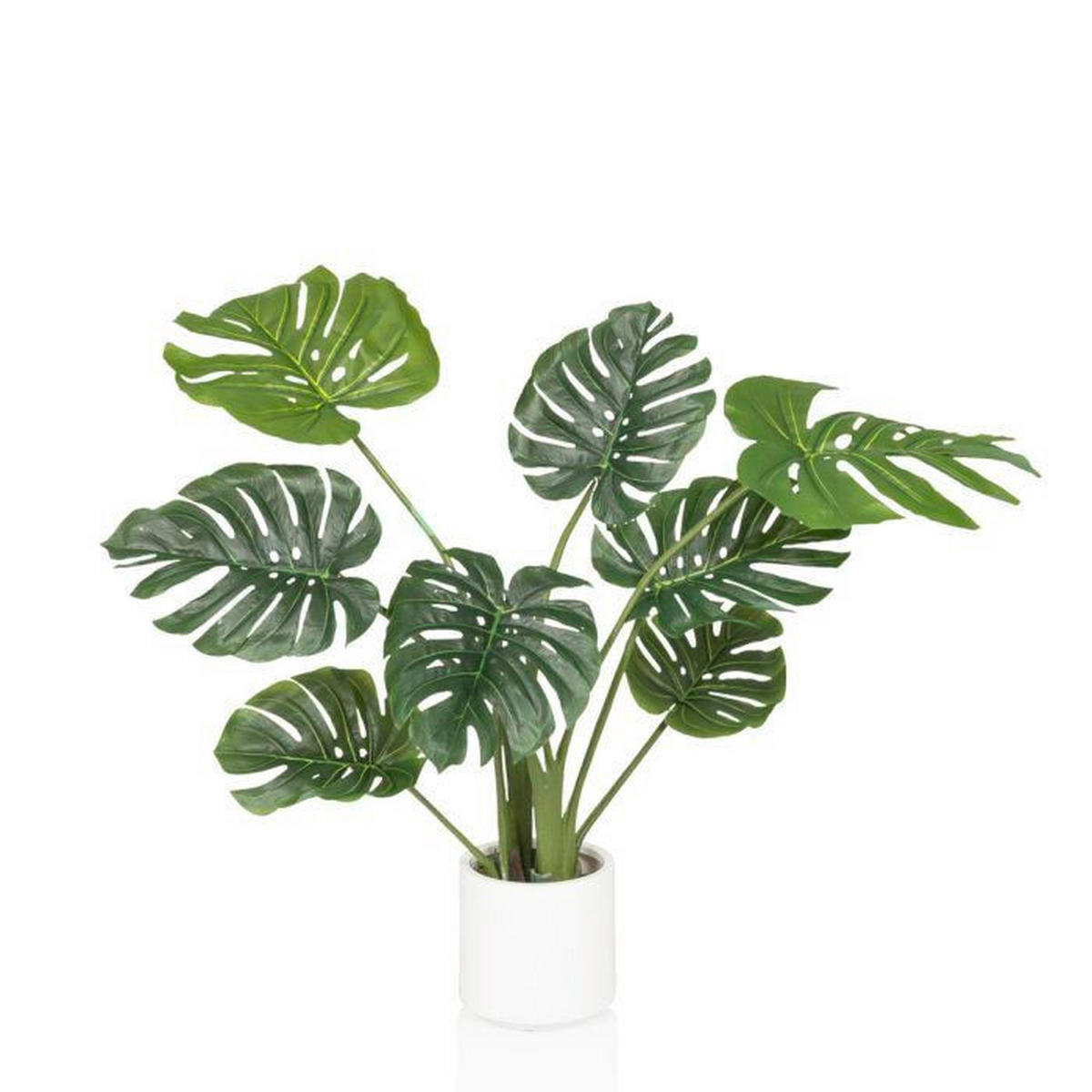 UMĚLÁ ROSTLINA monstera  - bílá/zelená, Moderní, plast (33/90/37cm) - MID.YOU