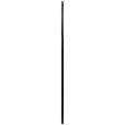 WANDSPIEGEL 100/169/2,5 cm    in  - Schwarz, Trend, Glas/Holzwerkstoff (100/169/2,5cm) - Landscape