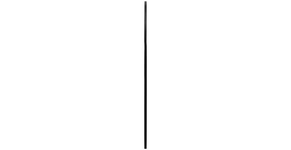 WANDSPIEGEL 100/169/2,5 cm in - Schwarz, Trend, Glas/Holzwerkstoff (100/169/2,5cm) - Landscape