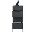 KOMMODE in 45/101/40,5 cm - Anthrazit/Alufarben, Design, Glas/Holzwerkstoff (45/101/40,5cm) - Voleo