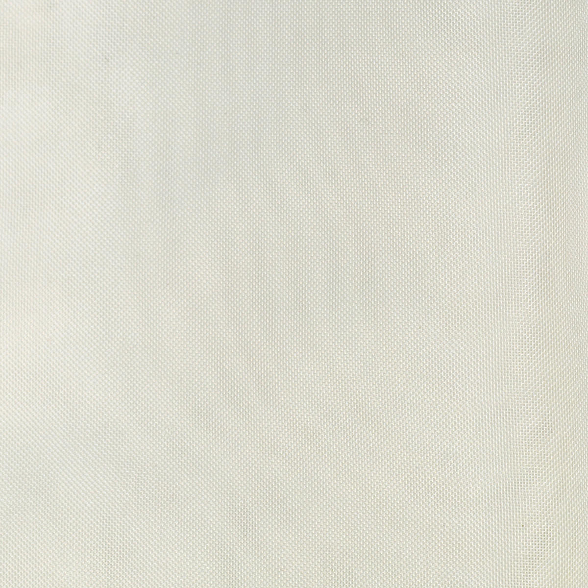 MATERIJAL ZA ZAVESE bež   - bež, Osnovno, tekstil (290cm)