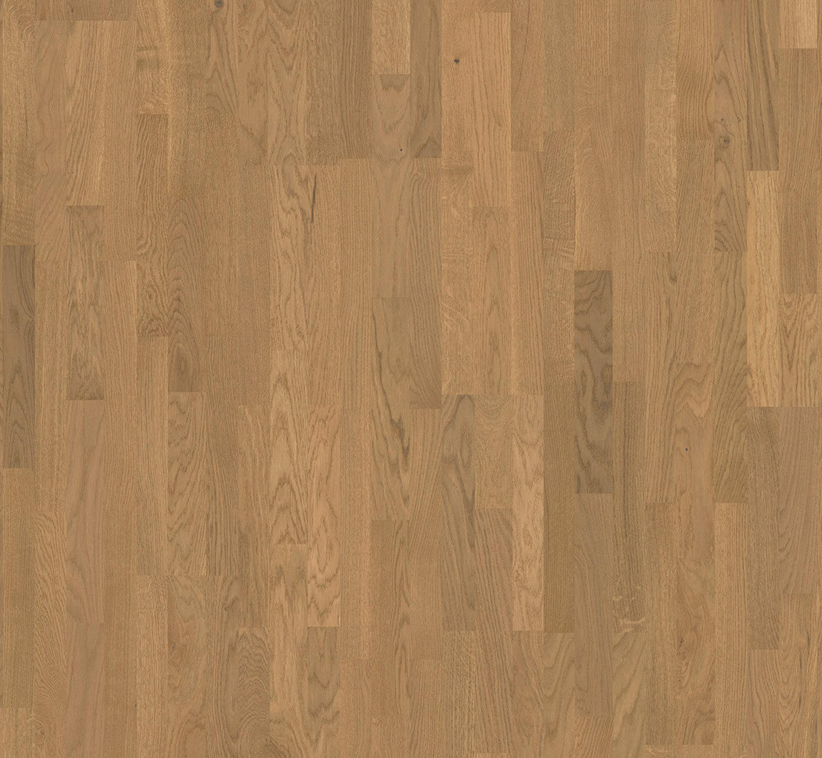 PARKETTBODEN Parkett Basic 11-5 Rustikal  per  m² - Eichefarben, Basics, Holz (220/18.5/1.15cm) - Parador