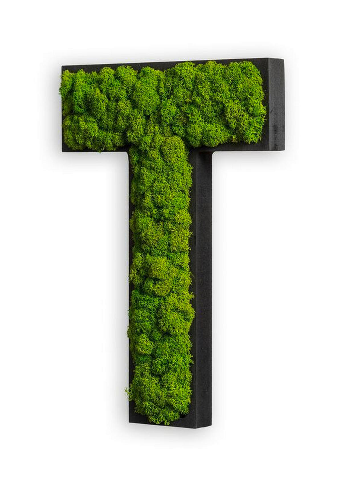MOOSBILD Stylegreen  - Schwarz/Grün, Basics, Naturmaterialien/Holz (25/19/4cm)