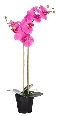 PHALAENOPSIS - rosa, Basics, plast (38/70cm)
