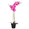 PHALAENOPSIS - rosa, Basics, plast (38/70cm)
