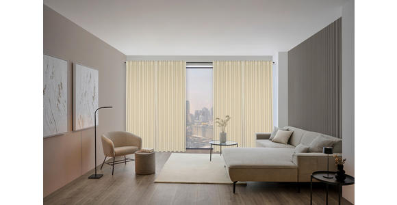 FERTIGVORHANG  blickdicht   140/260 cm  - Beige, Design, Textil (140/260cm) - Dieter Knoll