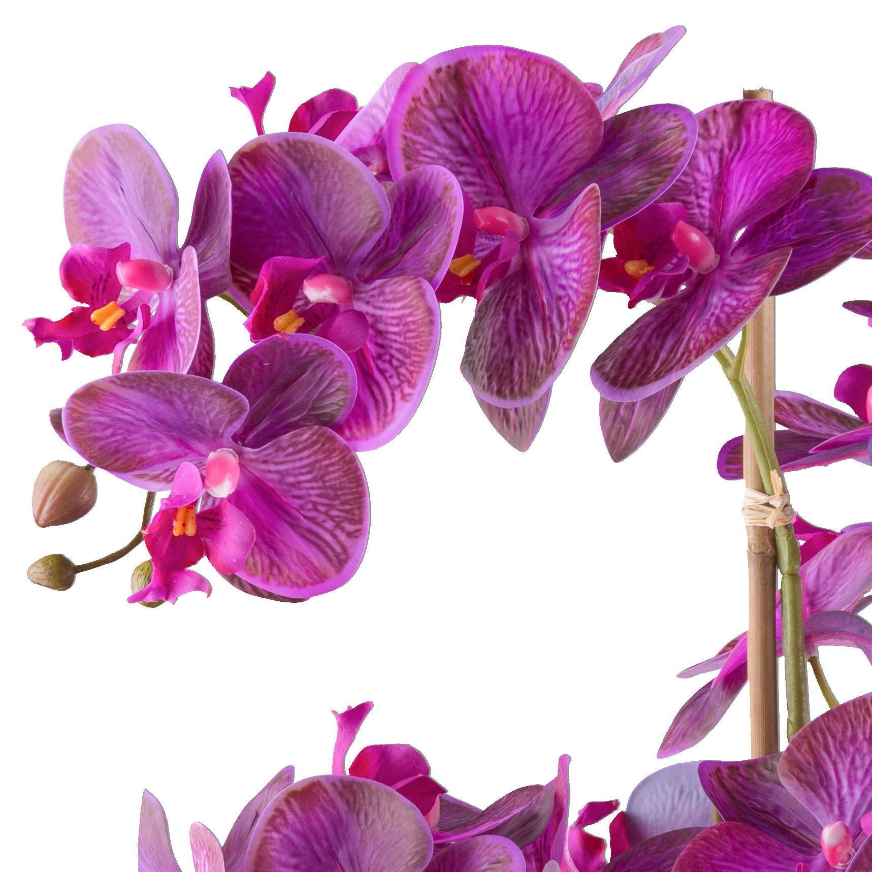 KUNSTPFLANZE Orchidee 70 cm  - Pink/Lila, Design, Kunststoff (70cm) - P & B