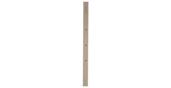 GARDEROBENPANEEL 10/165/3 cm  - Taupe, Design, Holzwerkstoff/Metall (10/165/3cm) - Moderano