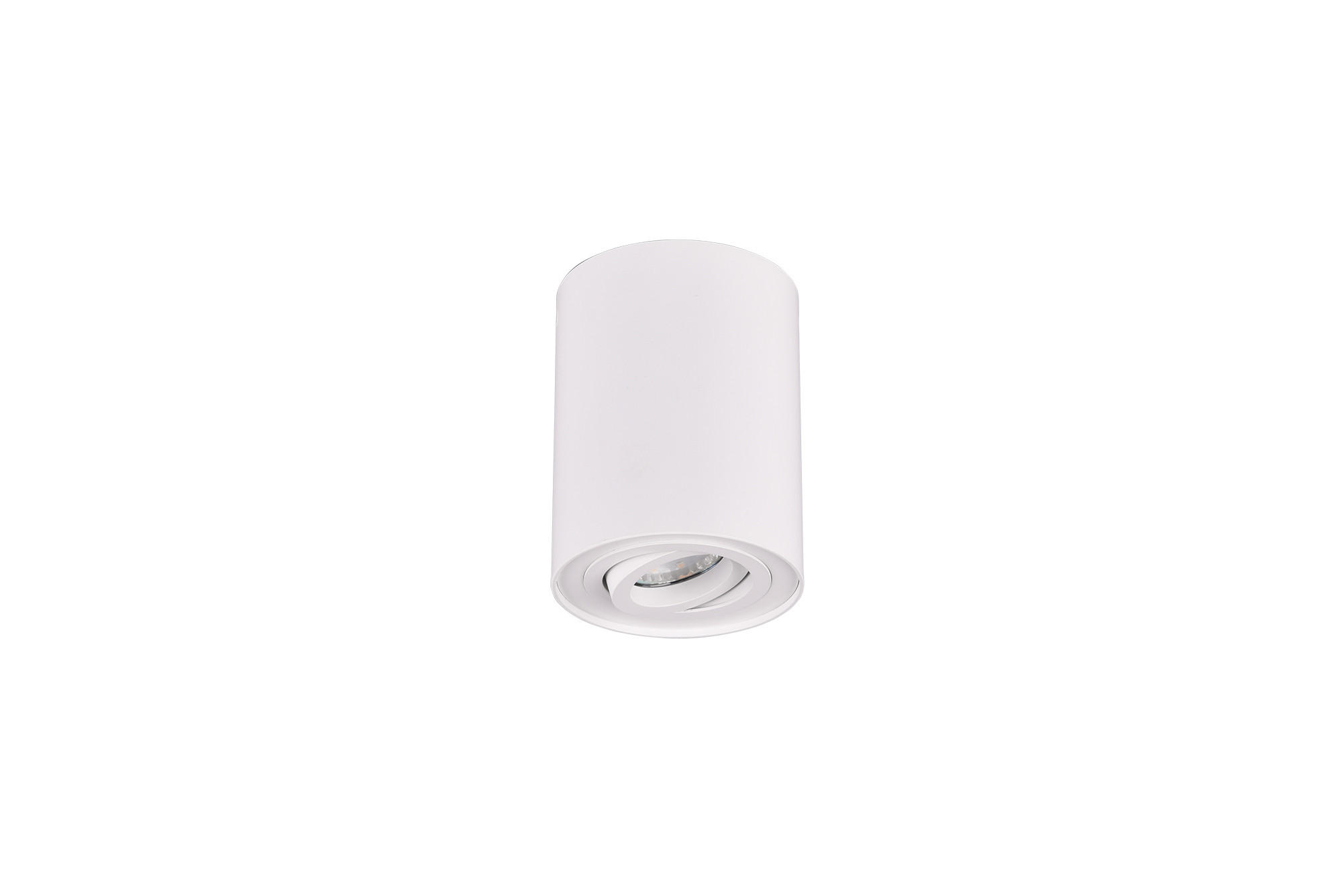 DECKENLEUCHTE  9,6/12,5 cm    - Basics (9,6/12,5cm) - Trio Leuchten